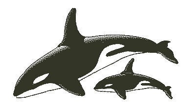 Encaustic Stempel Orka's nr.25