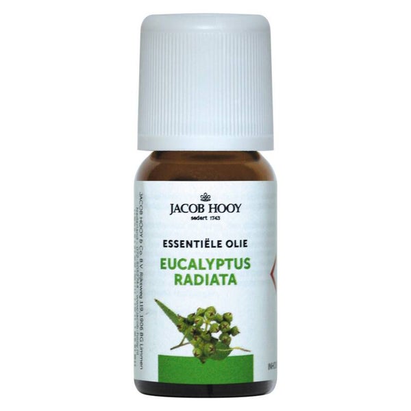 Eucalyptus Radiata