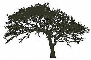 Encaustic Stempel Eik nr.29