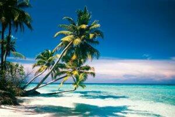 Palm beach 5 ml of 10 ml