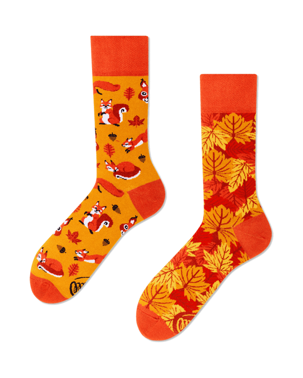Chaussettes dépareillées - The Squirells