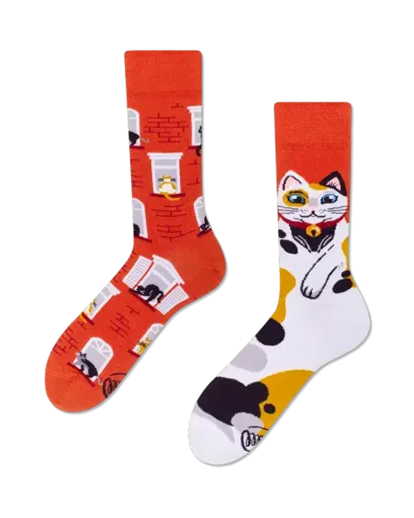 Chaussettes dépareillées - City cat