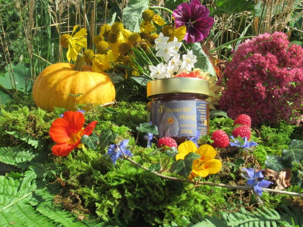 Thierseer Edel Honig (38€/kg)