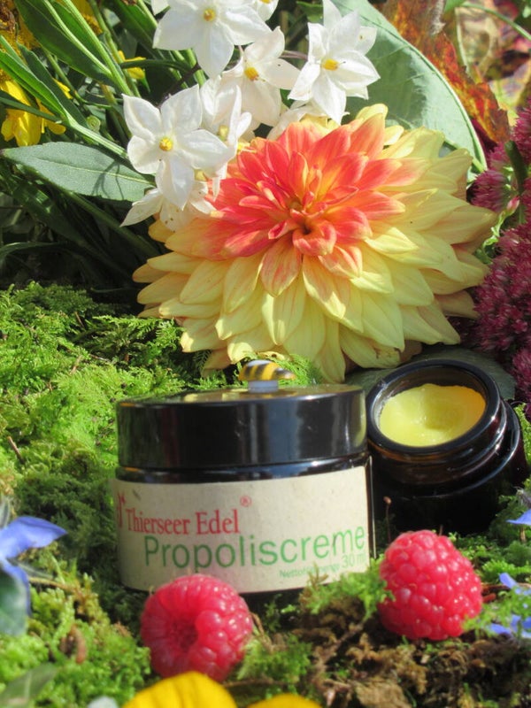 Propolis Produkte - Wachskompresse - Honigseife