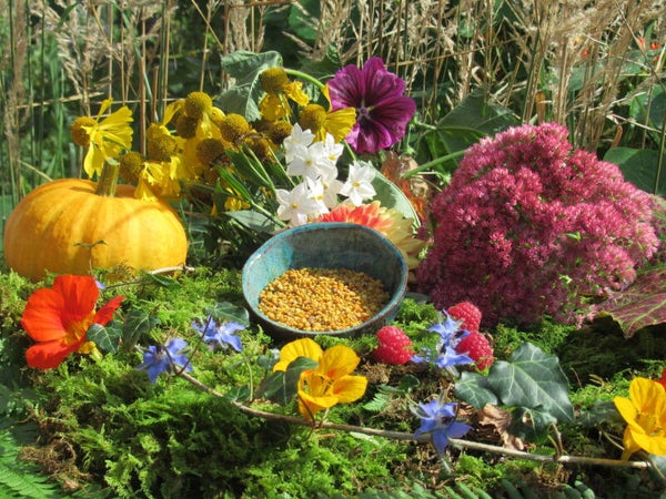 Pollen bio-zertifiziert, (140,00€/kg)