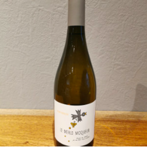 Le Merle Moqueur Blanc Moelleux