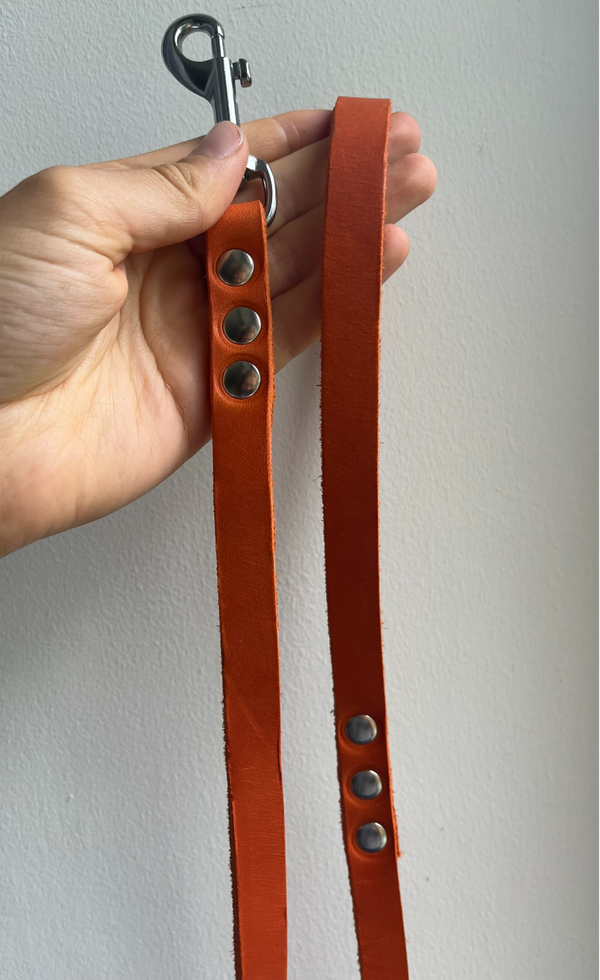 Leren lijn, 16mm, 2 meter