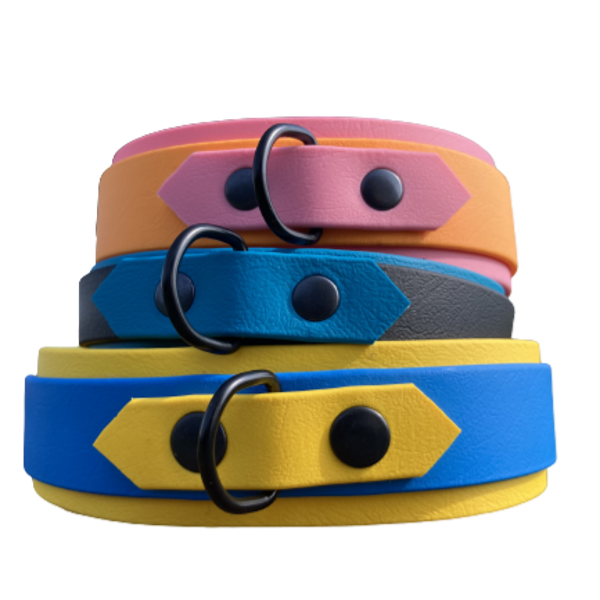 Biothane tag halsband