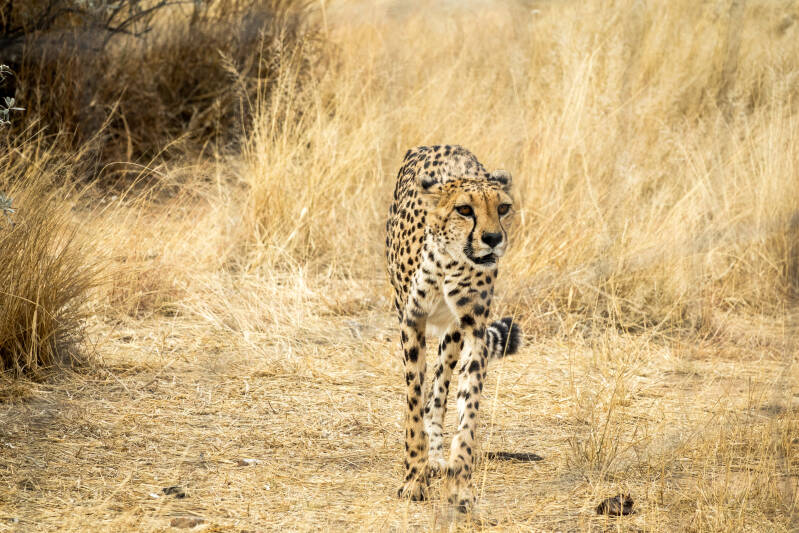 Na&#039;an Ku se Wildlife Center