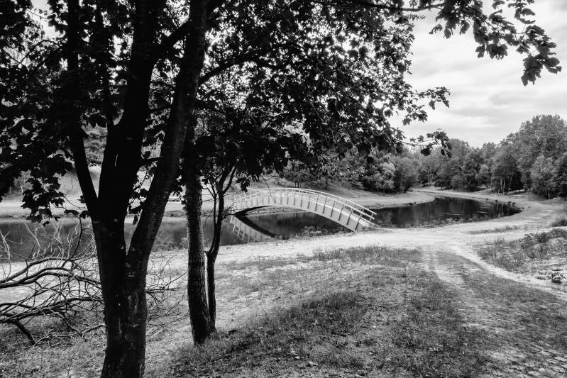 Amsterdamse Waterleidingduinen
