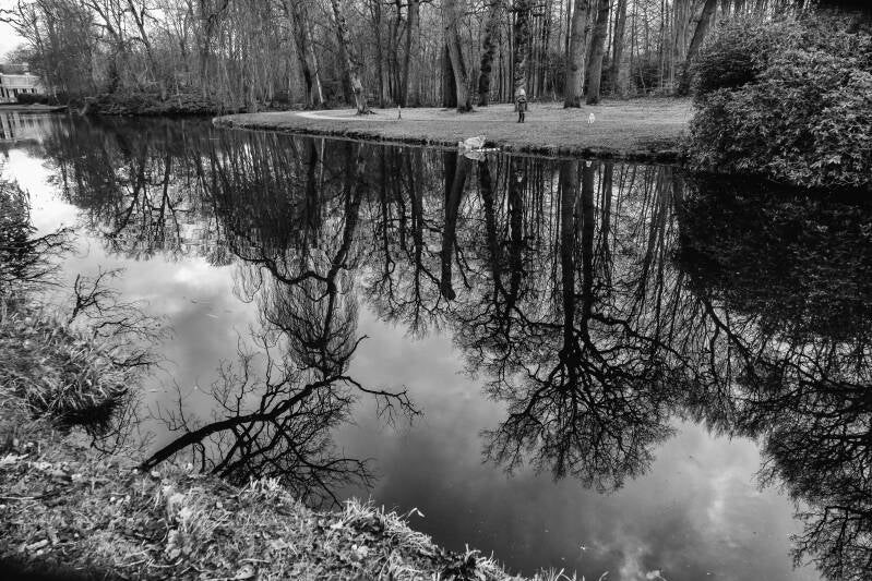 Kasteeltuin Groeneveld