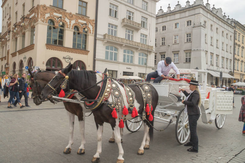 Een van de vele paardenkoetsjes