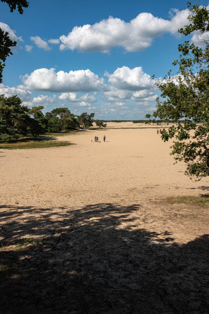 Loonse en Drunense duinen