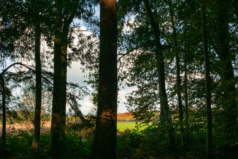 Kasteelpark Alerdinck, Zuthem