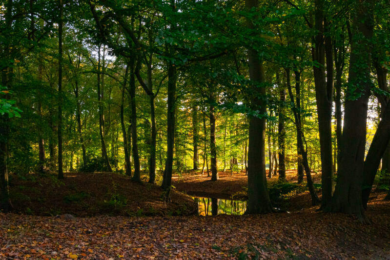 Kasteelpark Alerdinck, Zuthem