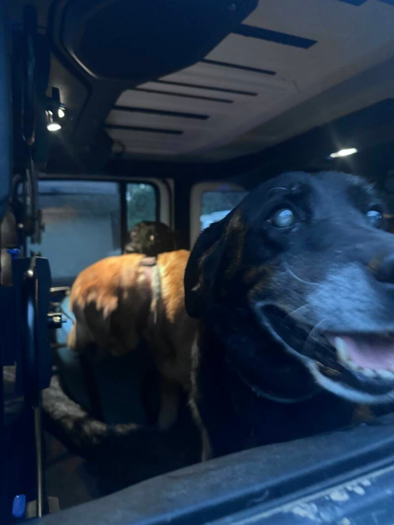 Saying bye to grandma and PA!