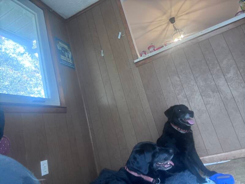 So far everyone if. Doing just fb f