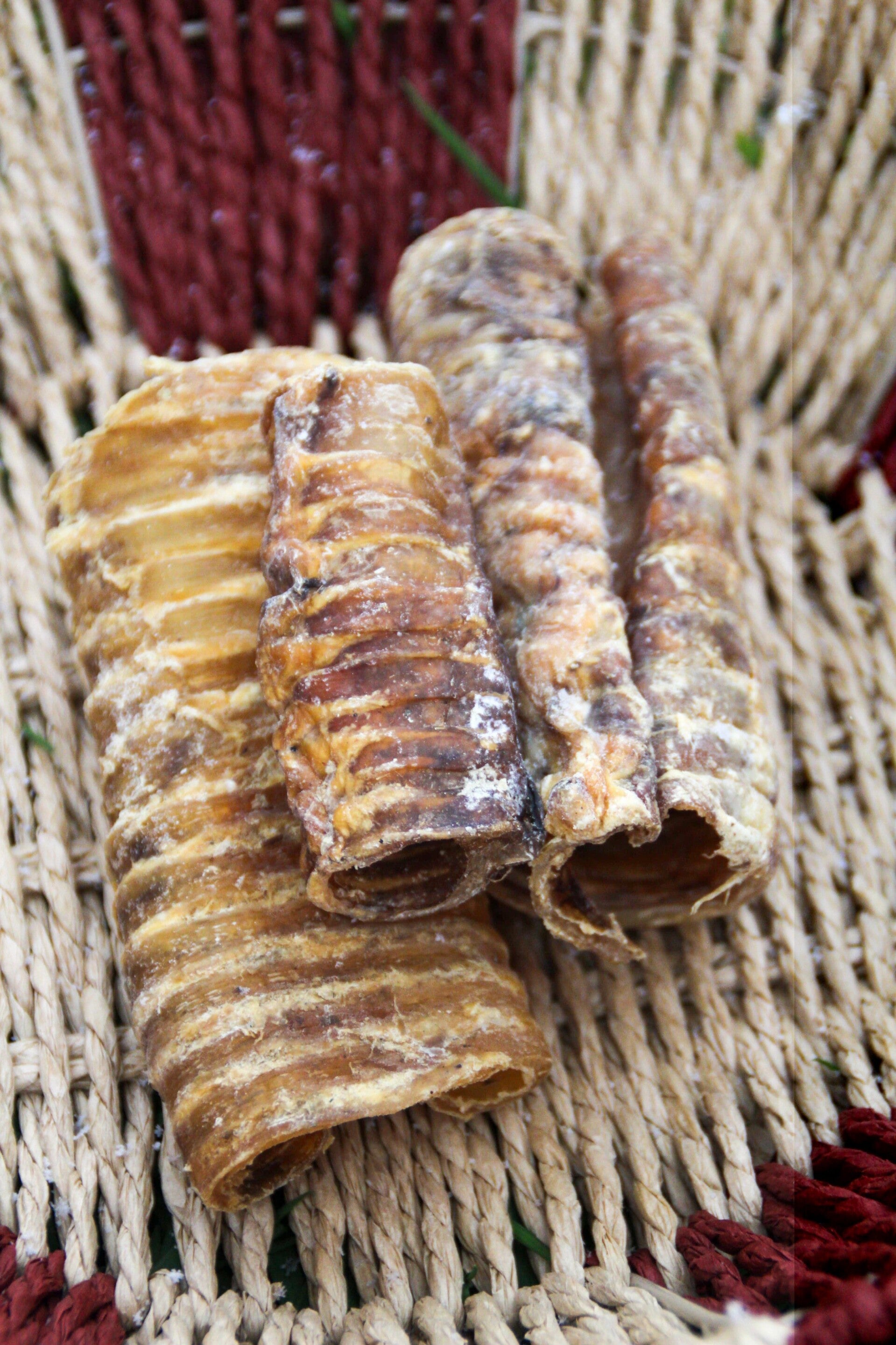 Runderluchtpijp – Natuurlijke kauwsnack