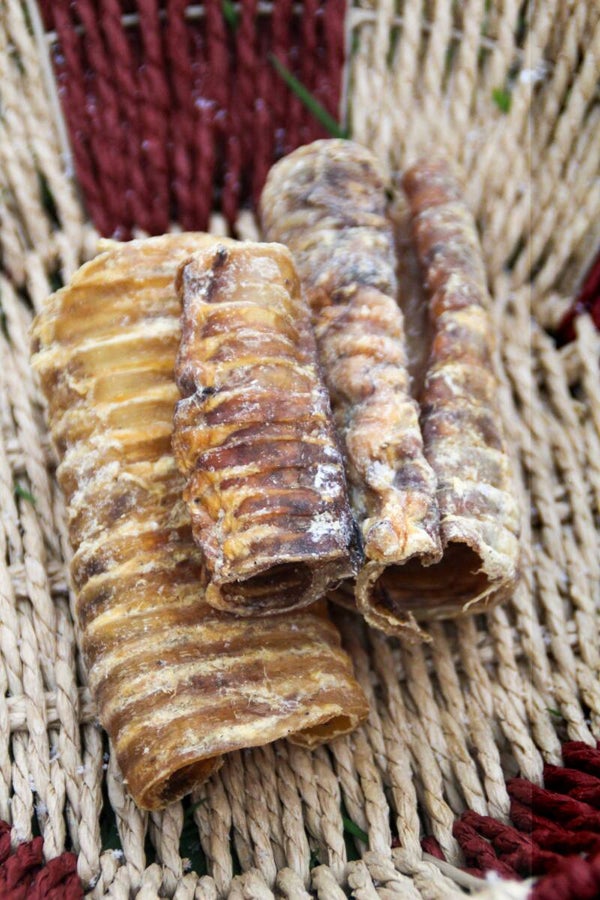 Runderluchtpijp – Natuurlijke kauwsnack