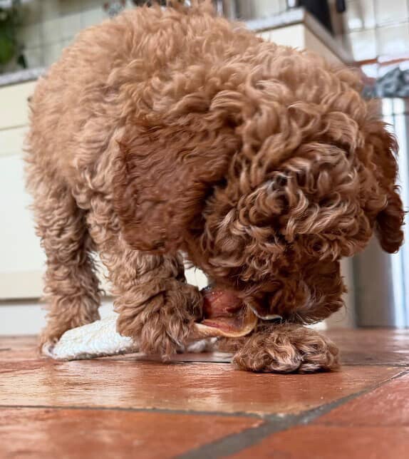 Zalm huid - 100% natuurlijk
