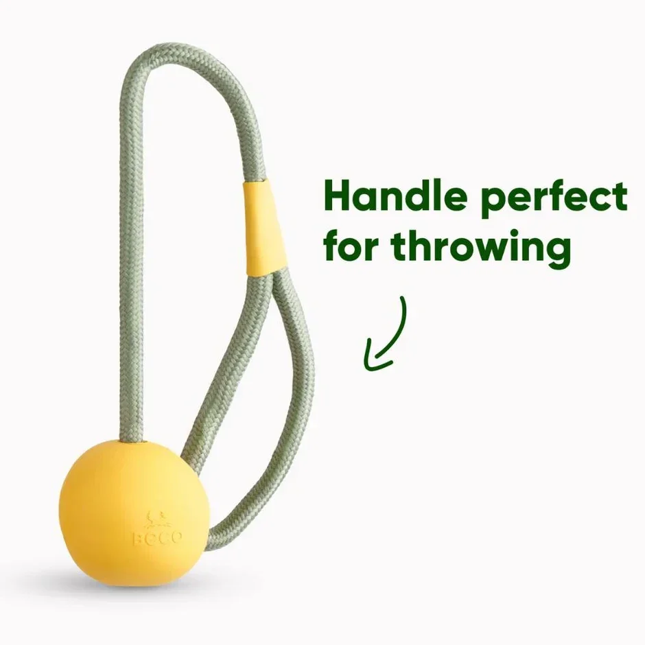 Slinger Ball - Beco