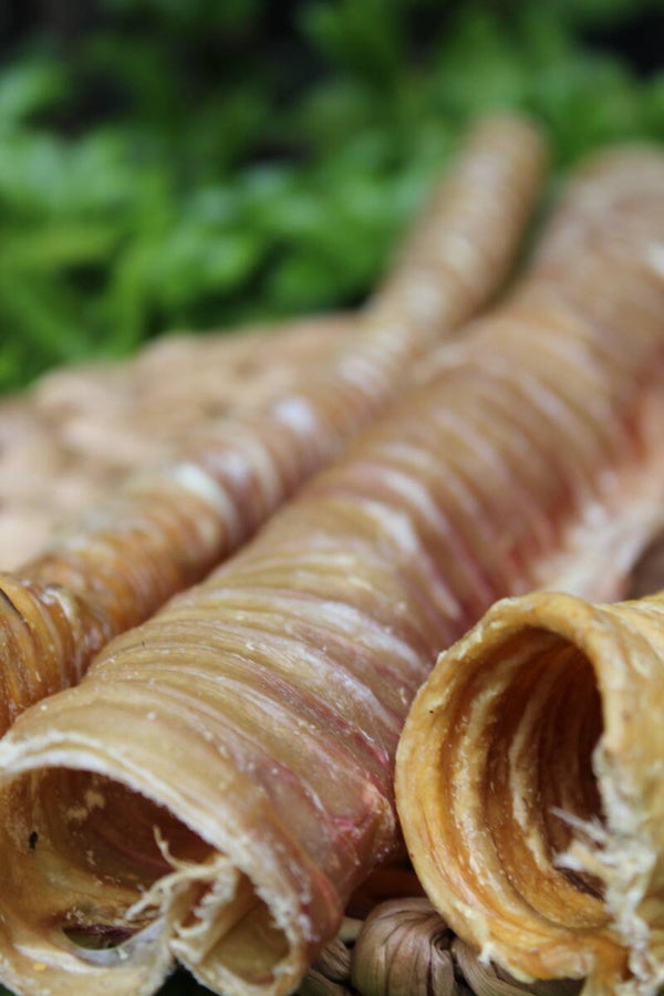 Runderluchtpijp 30 cm – natuurlijke kauwsnack