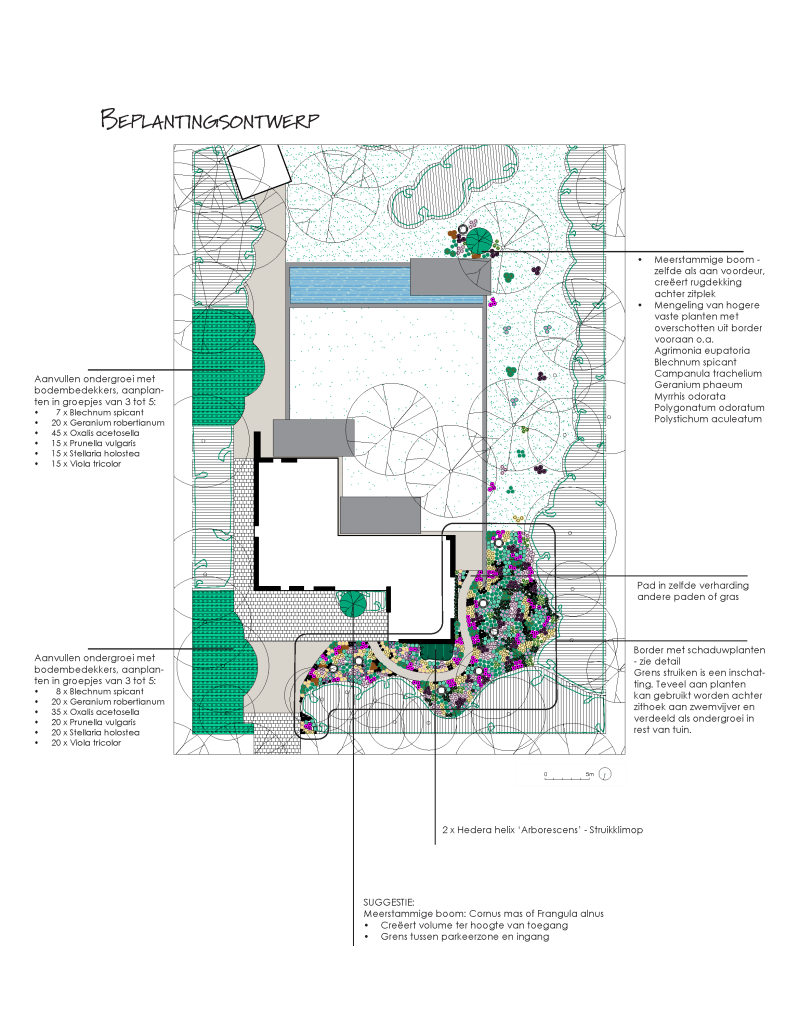 Beplantingsontwerp tuin Schoten
