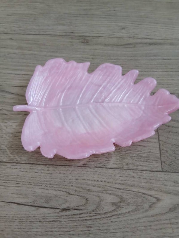 Plume Enchantée