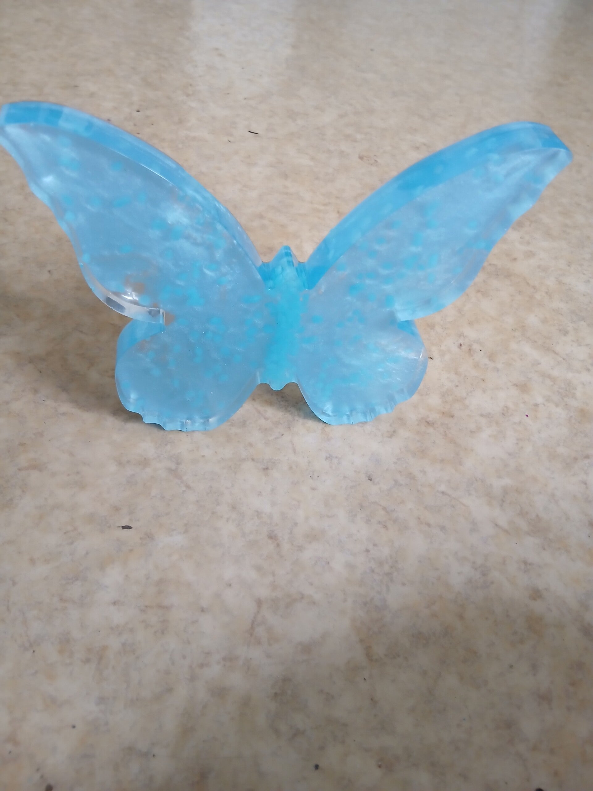 Le papillon de nuit