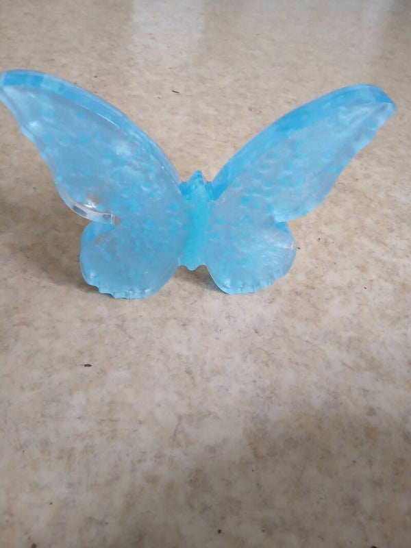 Le papillon de nuit