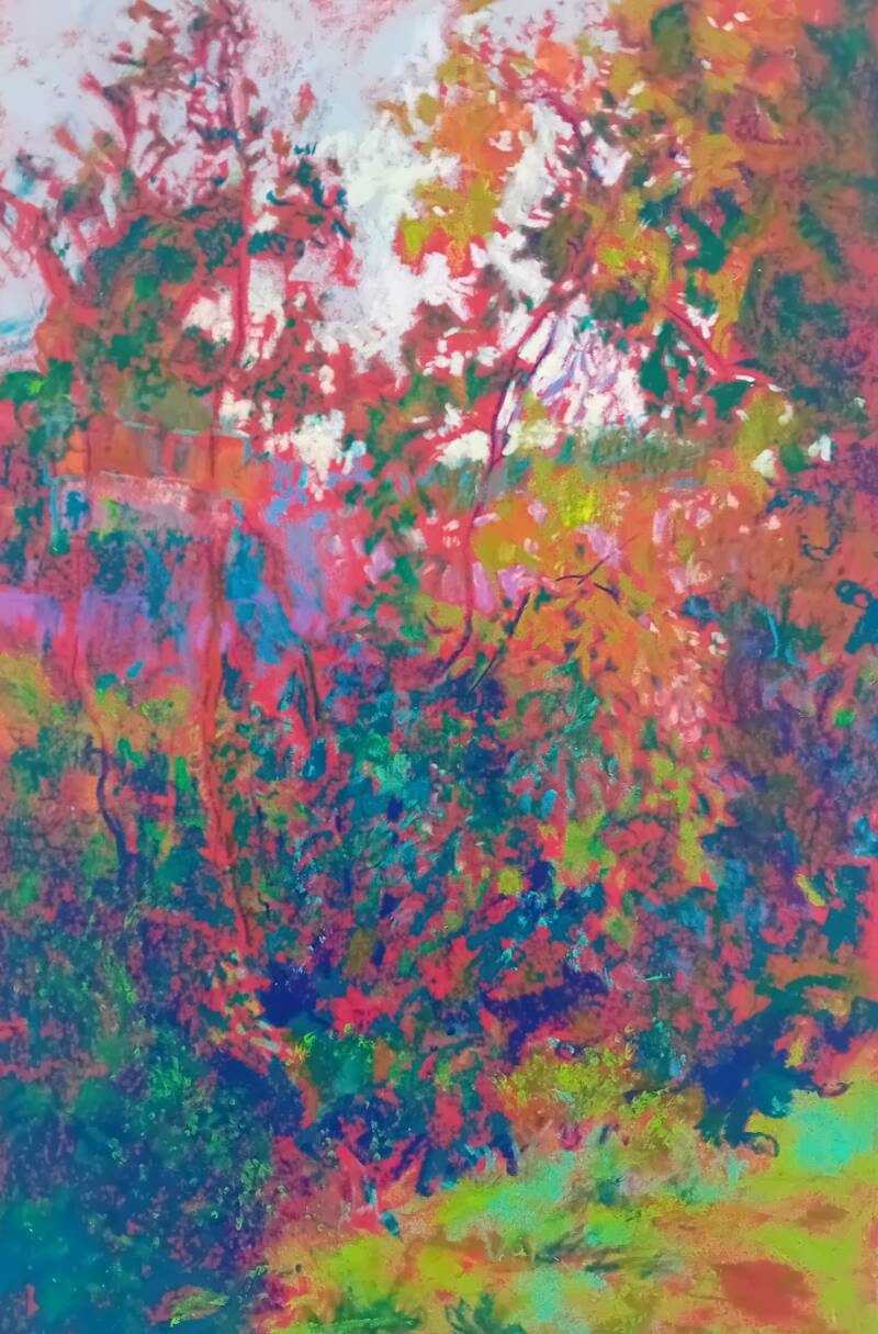 29 x 19,5 cm