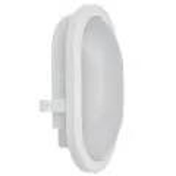 bulkhead ovale l28 led armatuur 12w 4000k 840lm 22cm