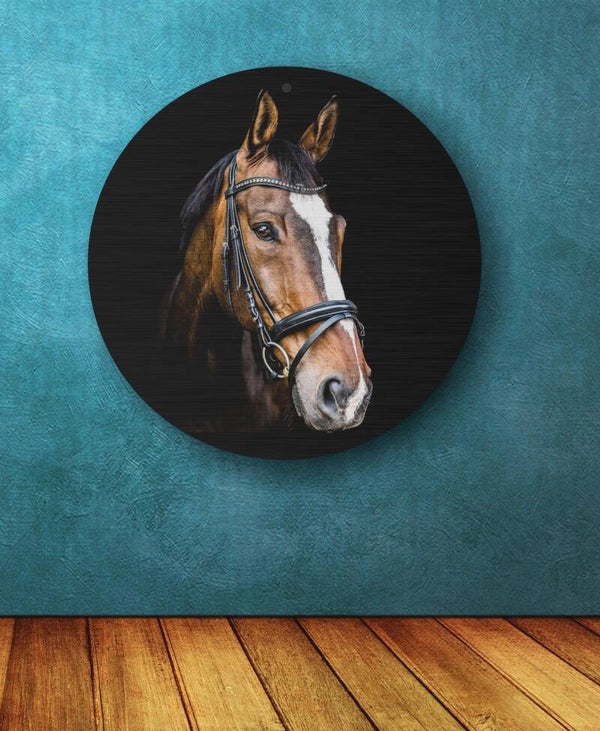 WAND CIRKEL MET PAARD