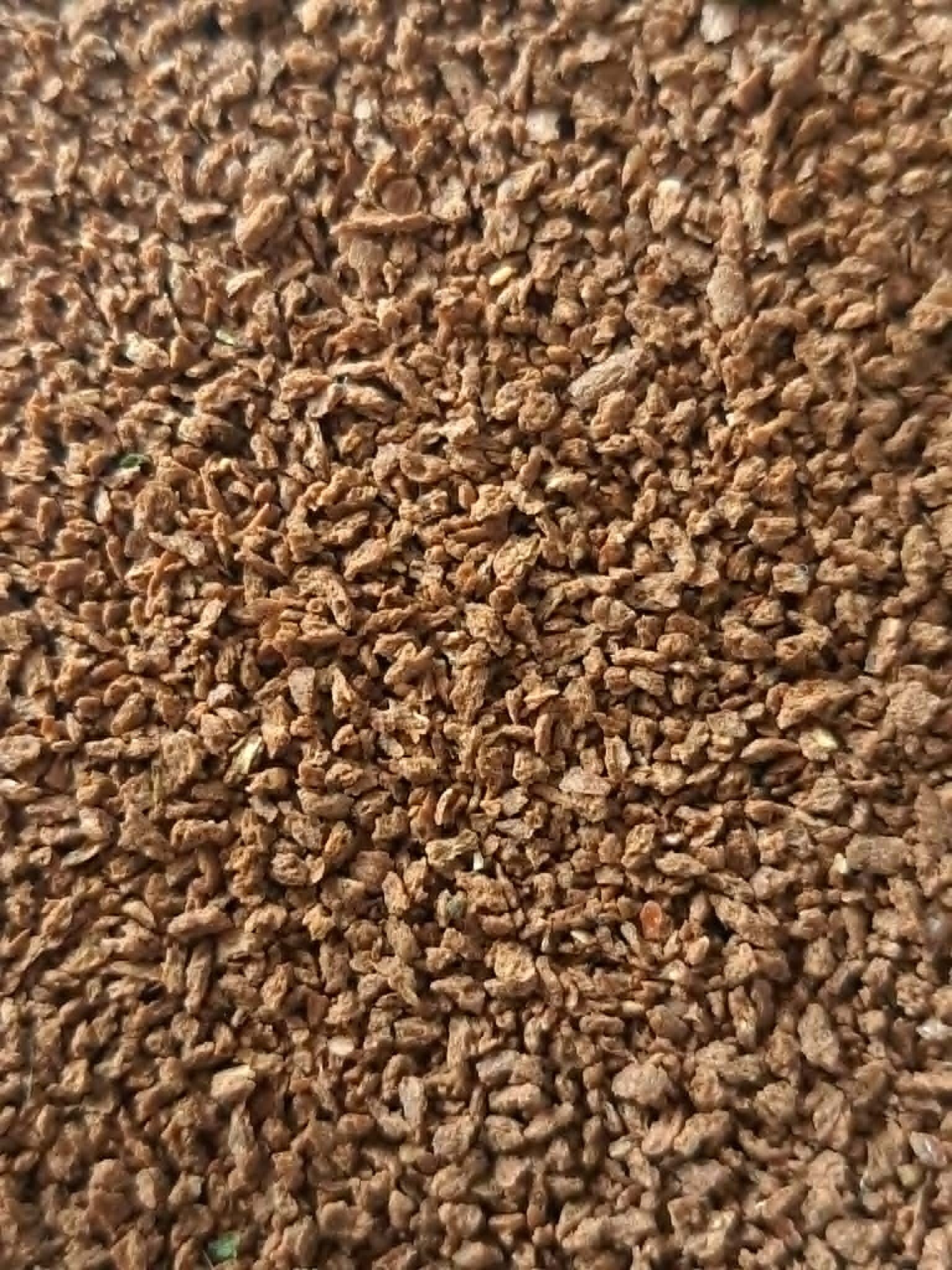 Granulés Prémium Cichlidés