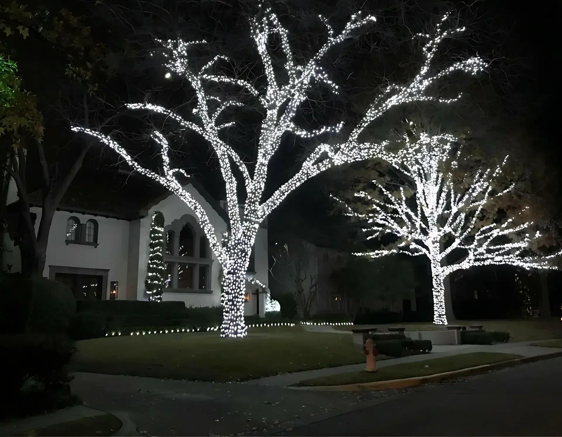 Corpus Christi holiday lights trusted installer Letz Get Lit