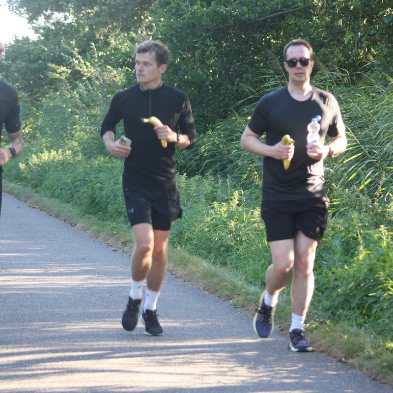 run-047-standard.jpg