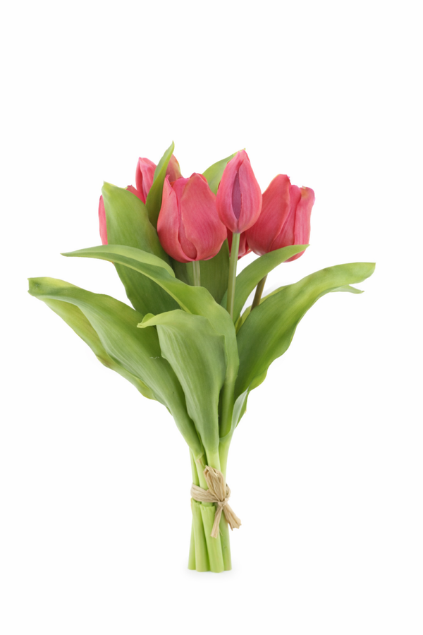 Tulpen bos roze x7
