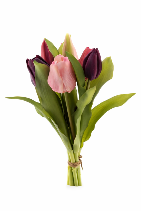 Tulpen bos paars/roze x7
