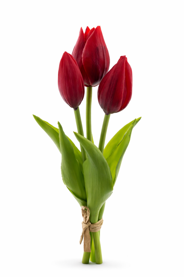 Tulip bundle Red x3