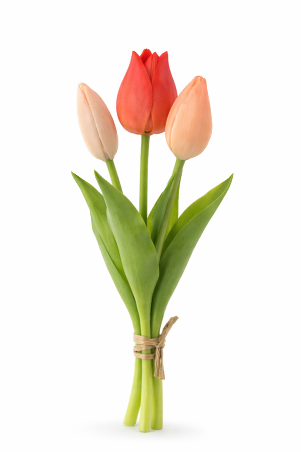 Tulip bundle Orange/ Peach x3
