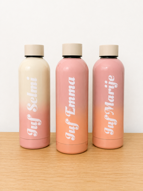 RVS Drinkfles meerkleurig