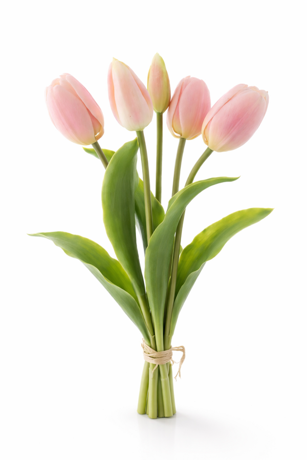 Tulip bundle  Light pink x5
