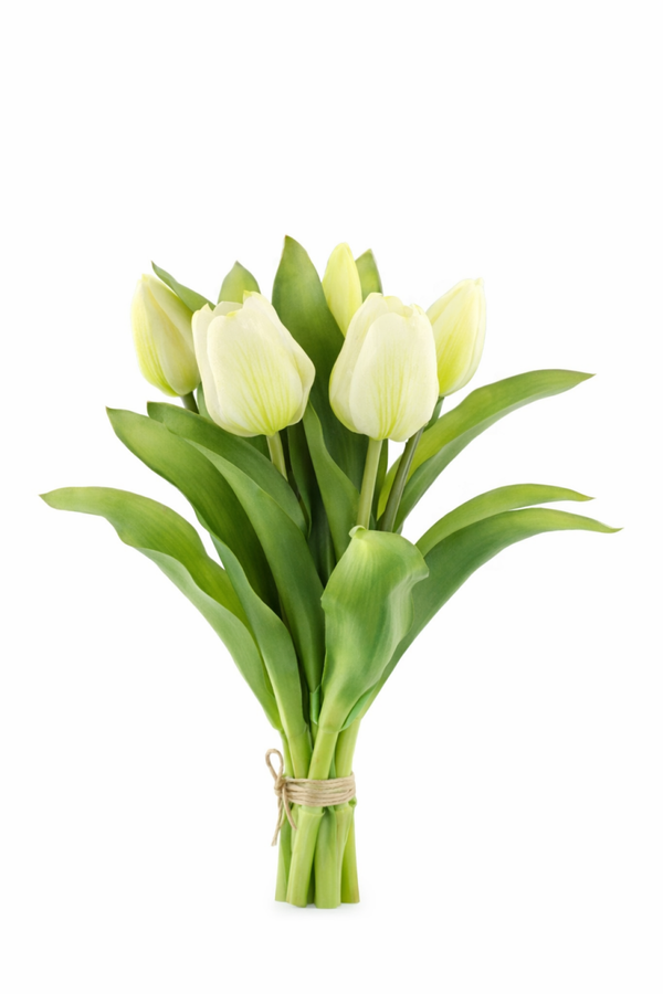 Tulpen bos wit x7