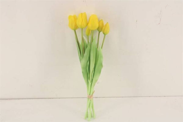 Bosje tulpen dicht