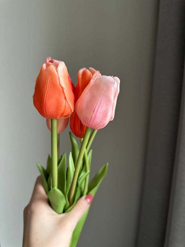 NIEUW Classic tulp Zalm