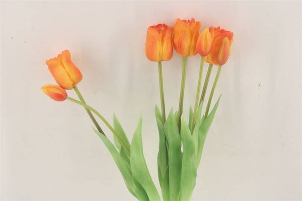 Bosje tulpen open