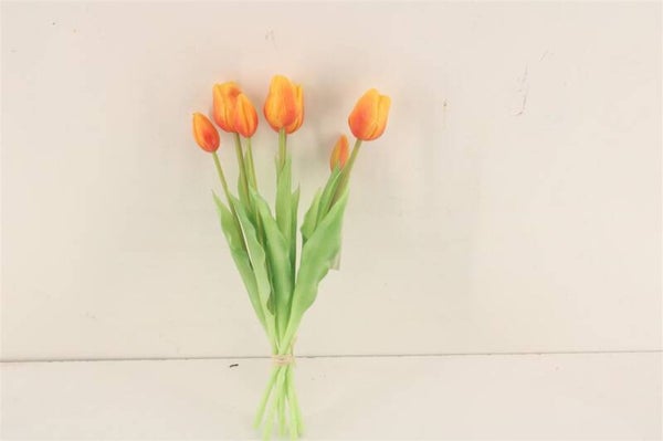 Bosje tulpen dicht