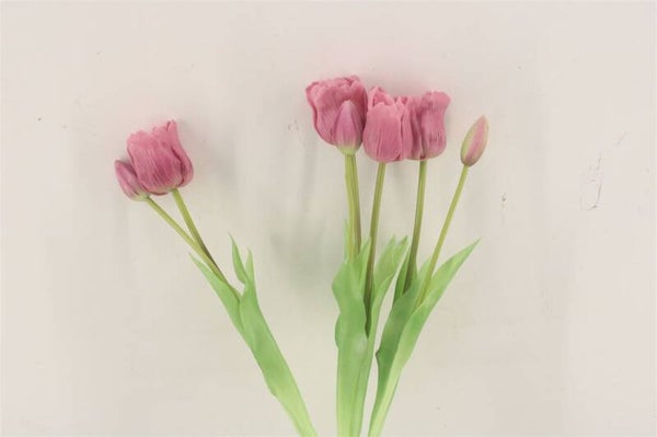 Bosje tulpen open