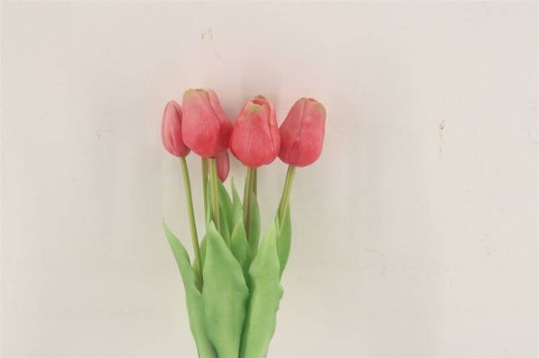 Bosje tulpen dicht