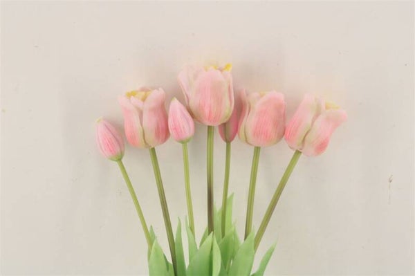 Bosje tulpen open